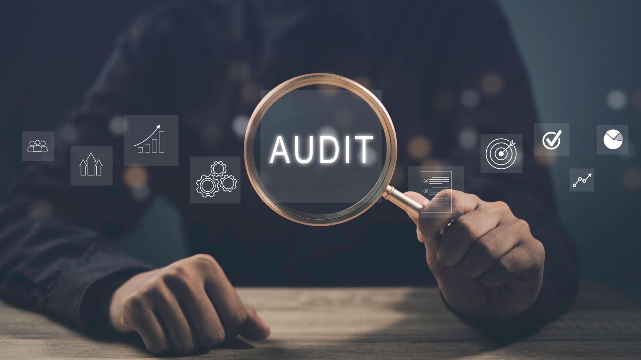 audit 12